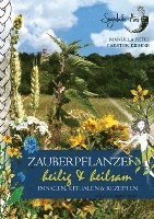 bokomslag Zauberpflanzen - heilig & heilsam