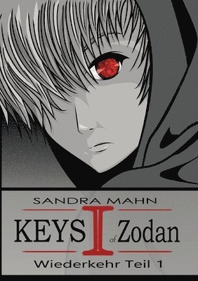 bokomslag Keys of Zodan