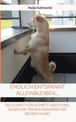 Nadja Kalinowski - Endlich entspannt Alleinbleiben..., Häftad