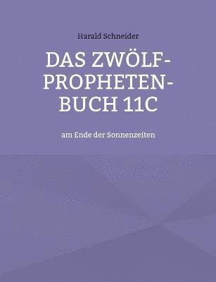 Harald Schneider - Zwölf-Propheten-Buch 11C, Häftad
