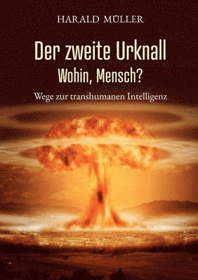 Harald Müller - zweite Urknall. Wohin, Mensch?, Häftad