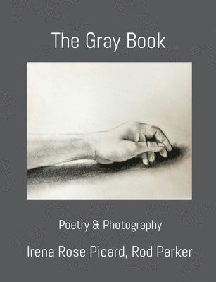 bokomslag The Gray Book