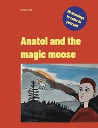 bokomslag Anatol and the magic moose