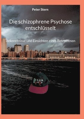 Peter Stern - schizophrene Psychose entschlüsselt, Häftad