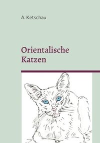 bokomslag Orientalische Katzen