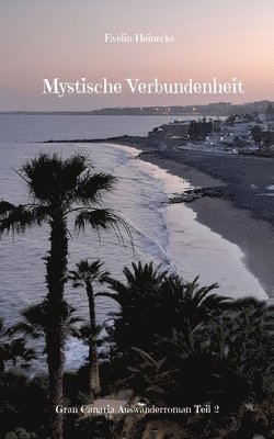 bokomslag Mystische Verbundenheit