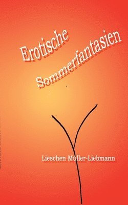 Lieschen Müller-Liebmann, Lieschen Muller-Liebmann - Erotische Sommerfantasien, Häftad