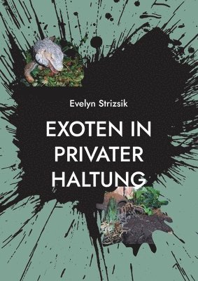 Exoten in privater Haltung 1