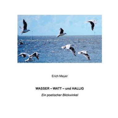 bokomslag Wasser - Watt - und Hallig