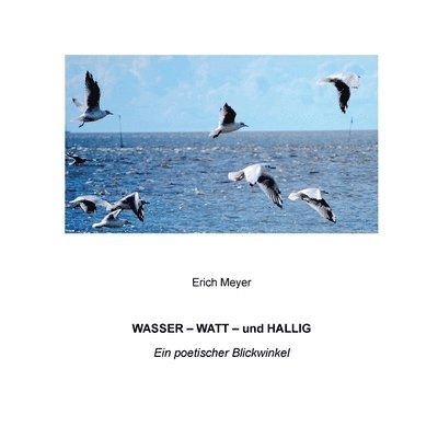 Erich Meyer - Wasser - Watt - und Hallig, Häftad