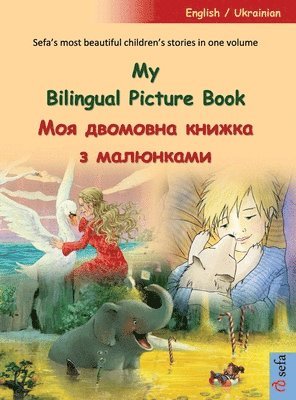 bokomslag My Bilingual Picture Book - ??? ???????? ?????? ? ????????? (English / Ukrainian)