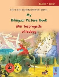 bokomslag My Bilingual Picture Book - Min tosprogede billedbog (English / Danish)