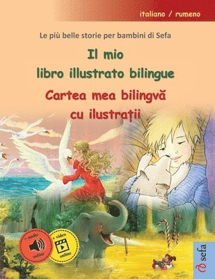 bokomslag Il mio libro illustrato bilingue - Cartea mea bilingv&#259; cu ilustra&#539;ii (italiano / rumeno)