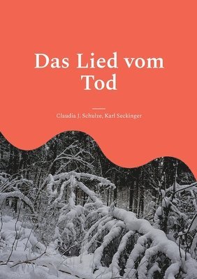 bokomslag Das Lied vom Tod