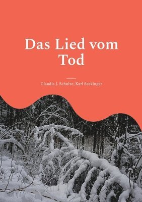 bokomslag Lied vom Tod