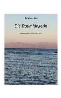 bokomslag Traumfängerin