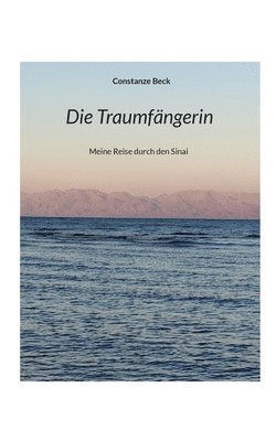 bokomslag Traumfängerin