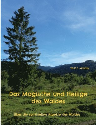 bokomslag Magische und Heilige des Waldes