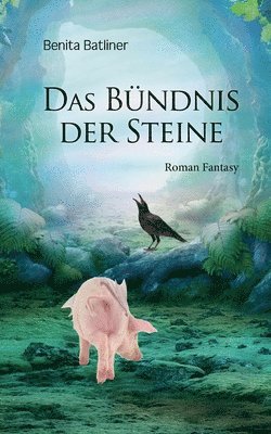 bokomslag Das Bndnis der Steine