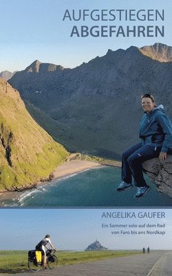 Angelika Gaufer - Aufgestiegen Abgefahren, Häftad
