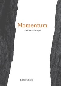 bokomslag Momentum