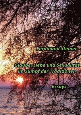 bokomslag Glaube, Liebe und Sexualitt im Sumpf der Traditionen