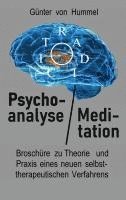 bokomslag Psychoanalyse / Meditation