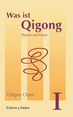 bokomslag Was ist Qigong