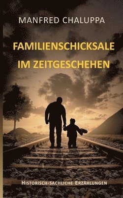 bokomslag Familienschicksale im Zeitgeschehen