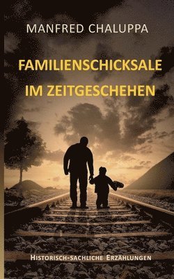 Manfred Chaluppa - Familienschicksale im Zeitgeschehen, Häftad