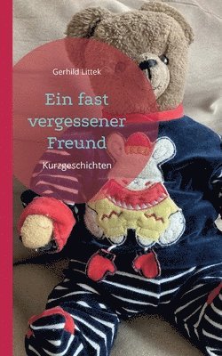 bokomslag Ein fast vergessener Freund