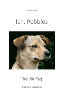 bokomslag Ich, Pebbles