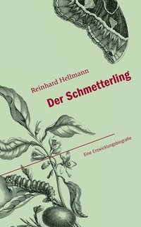 bokomslag Der Schmetterling