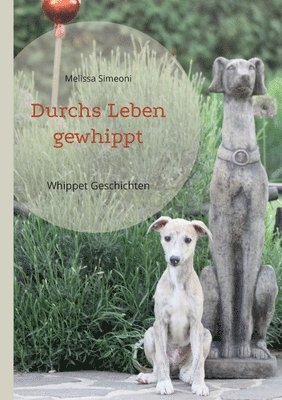 Durchs Leben gewhippt
