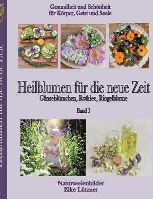 bokomslag Heilblumen fur die neue Zeit