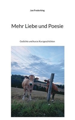 bokomslag Mehr Liebe und Poesie