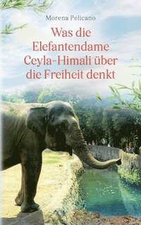 bokomslag Was die Elefantendame Ceyla-Himali ber die Freiheit denkt