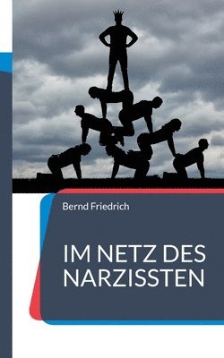 bokomslag Im Netz des Narzissten