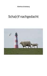 bokomslag Scha(r)f nachgedacht