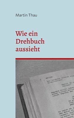 bokomslag Wie ein Drehbuch aussieht