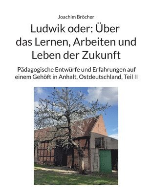 bokomslag Ludwik oder