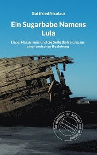 bokomslag Sugarbabe Namens Lula