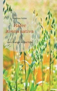 bokomslag Hafer - Avena sativa