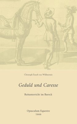 bokomslag Geduld und Caresse