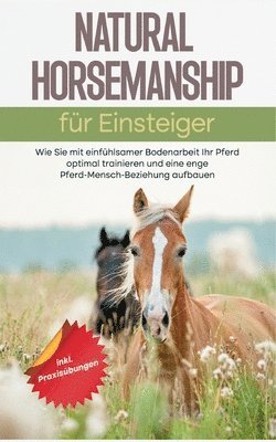 bokomslag Natural Horsemanship für Einsteiger