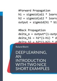 bokomslag Deep Learning, an introduction with two nice short examples