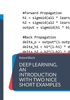 Deep Learning, an introduction with two nice short examples 1