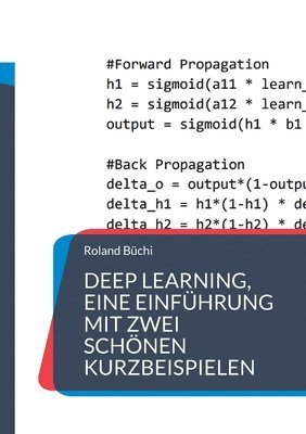 bokomslag Deep Learning, eine Einfhrung mit zwei schnen Kurzbeispielen