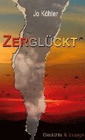 Zerglückt 1