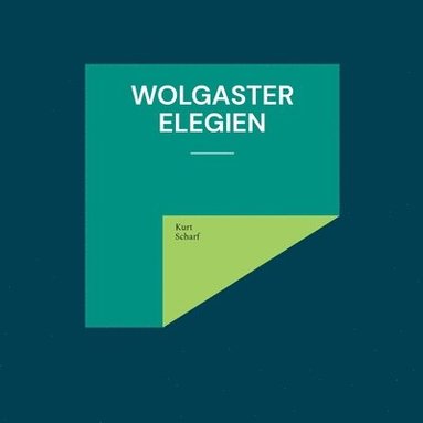 bokomslag Wolgaster Elegien